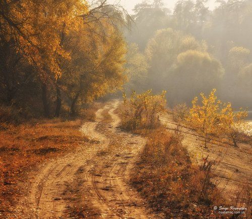 Autumn Dreamness