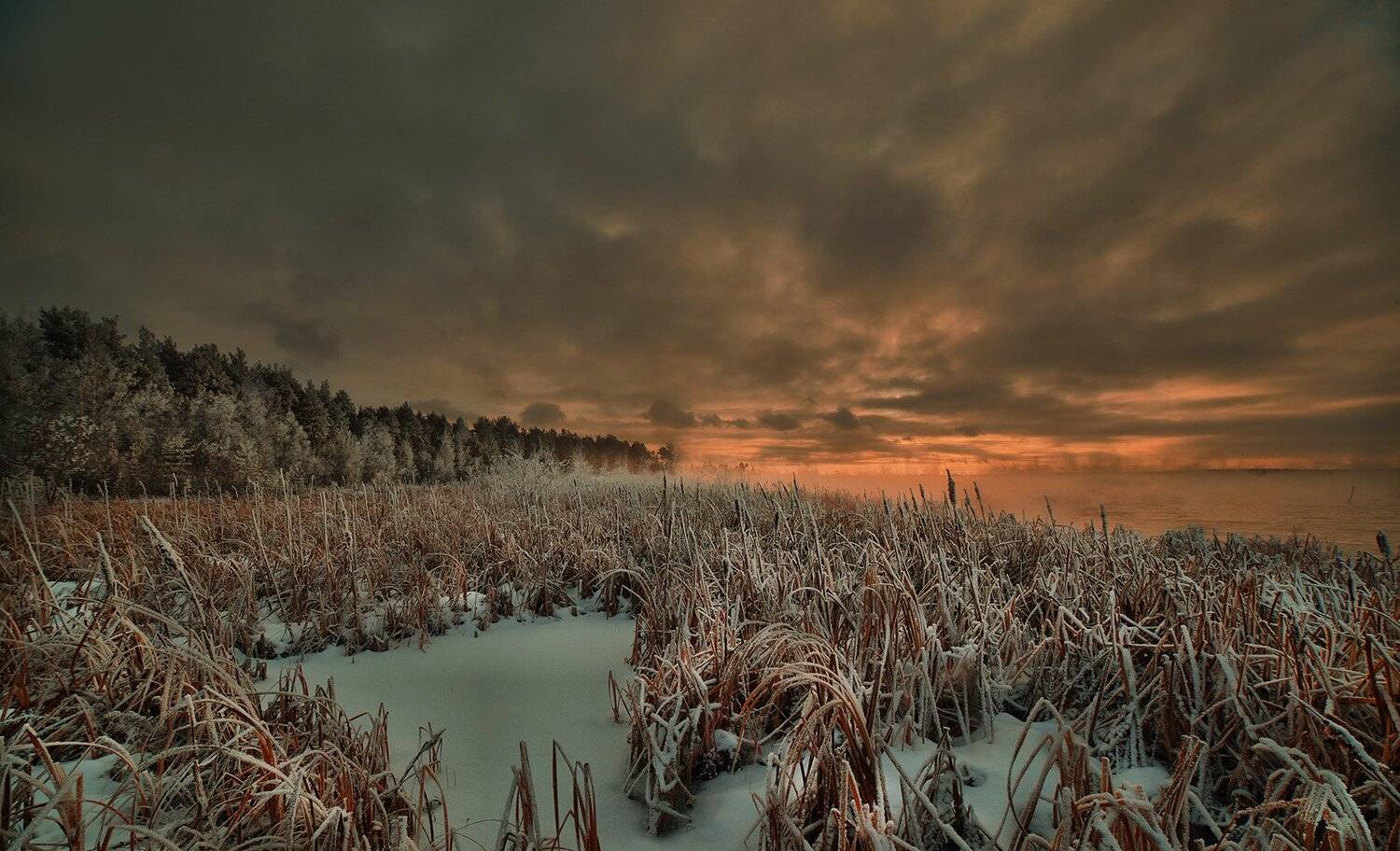 , Борис Полозков