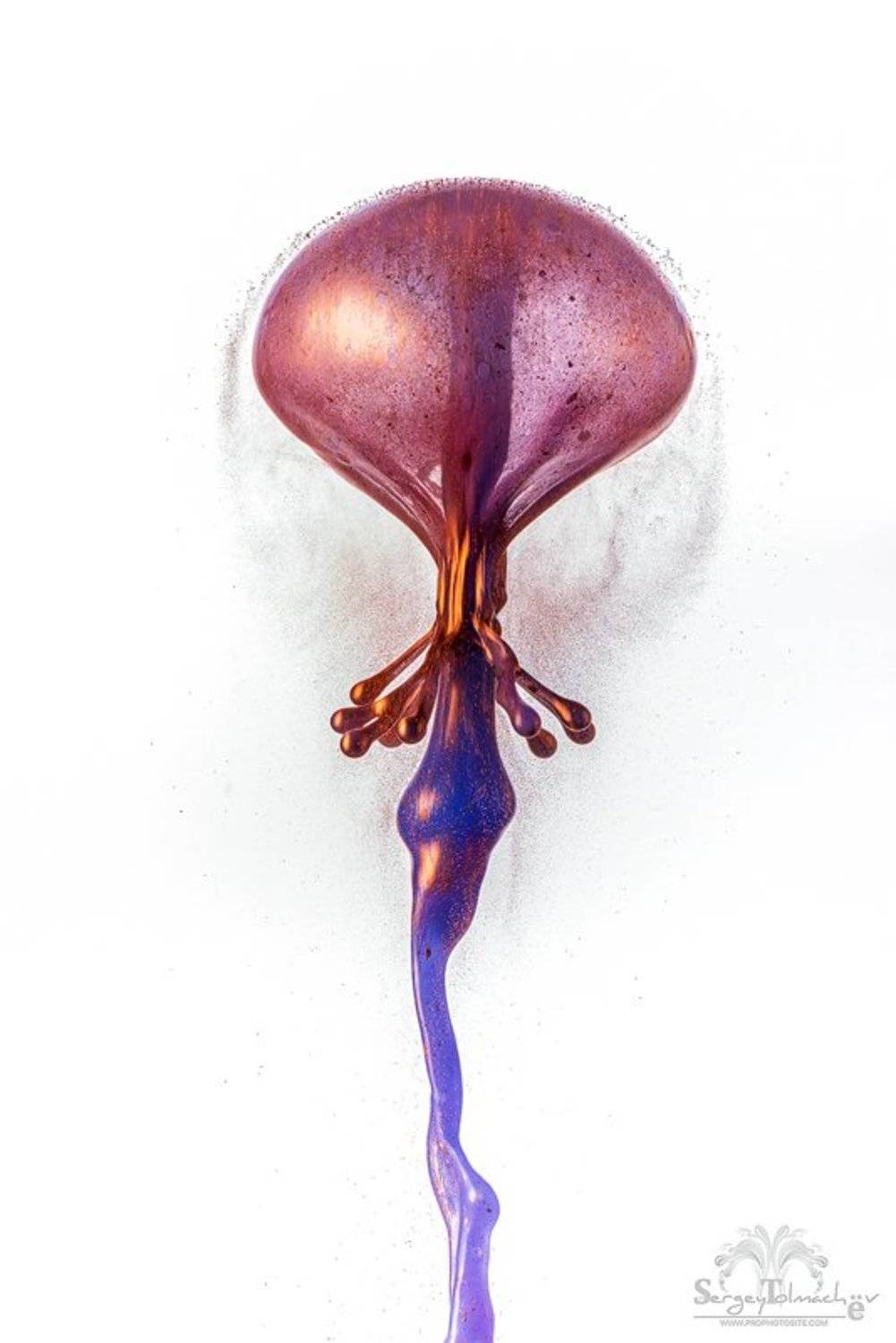 Брызги, Вода, Всплеск, Жидкость, Капли, Сергей Толмачев