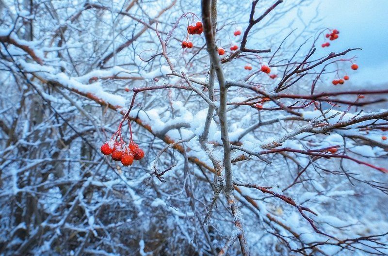 С первым снегом фото превью
