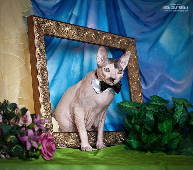 Сошедший с картины...)) фото превью