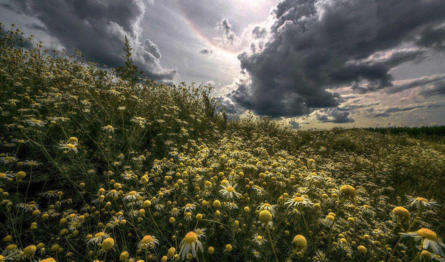 , Сергей (Bekr)