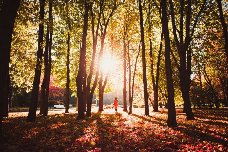 peterkolchin Прощальная фото превью