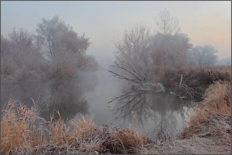 Утро Река Туман -- фото превью