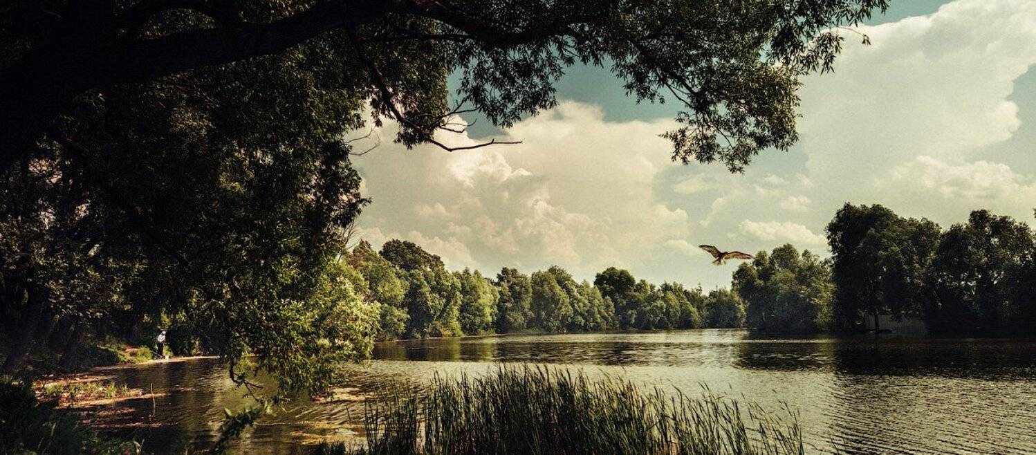 , Аркеев Марат