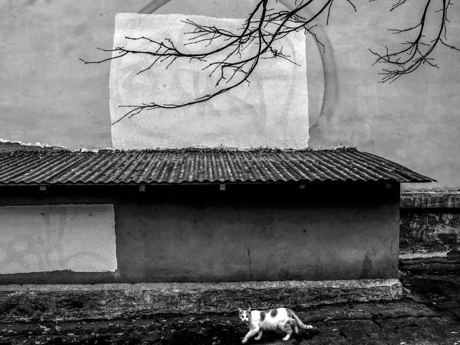 стрит, Морозов Юрий