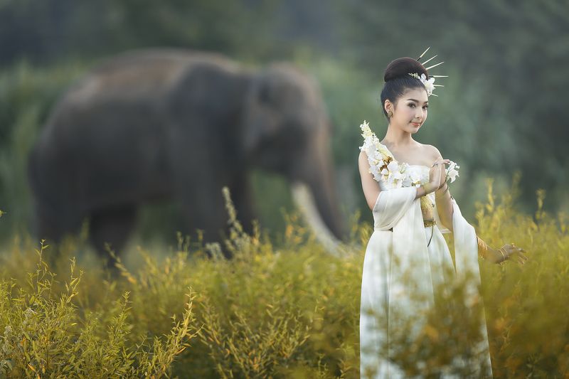 Animals, Asia, Asian, Beautiful, Cute, Elephant, Girl, Thai, Thailand, Woman Girl and elephant фото превью
