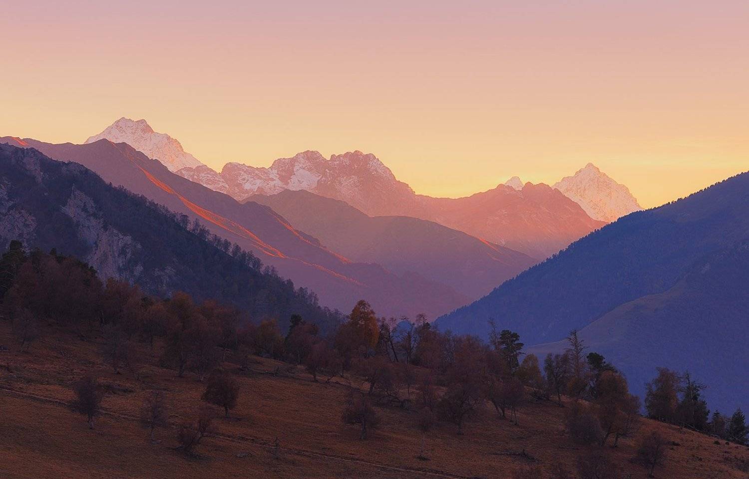 , Минаев Павел