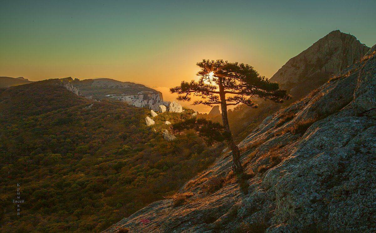 , Борис Костарев