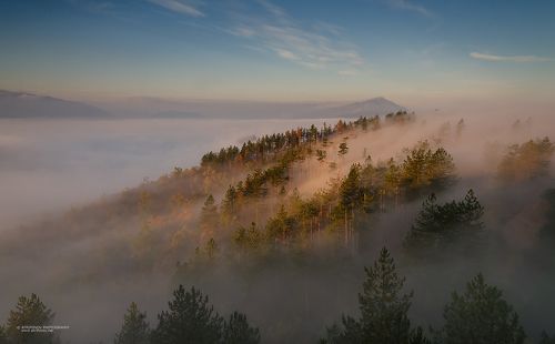  Утро туманное