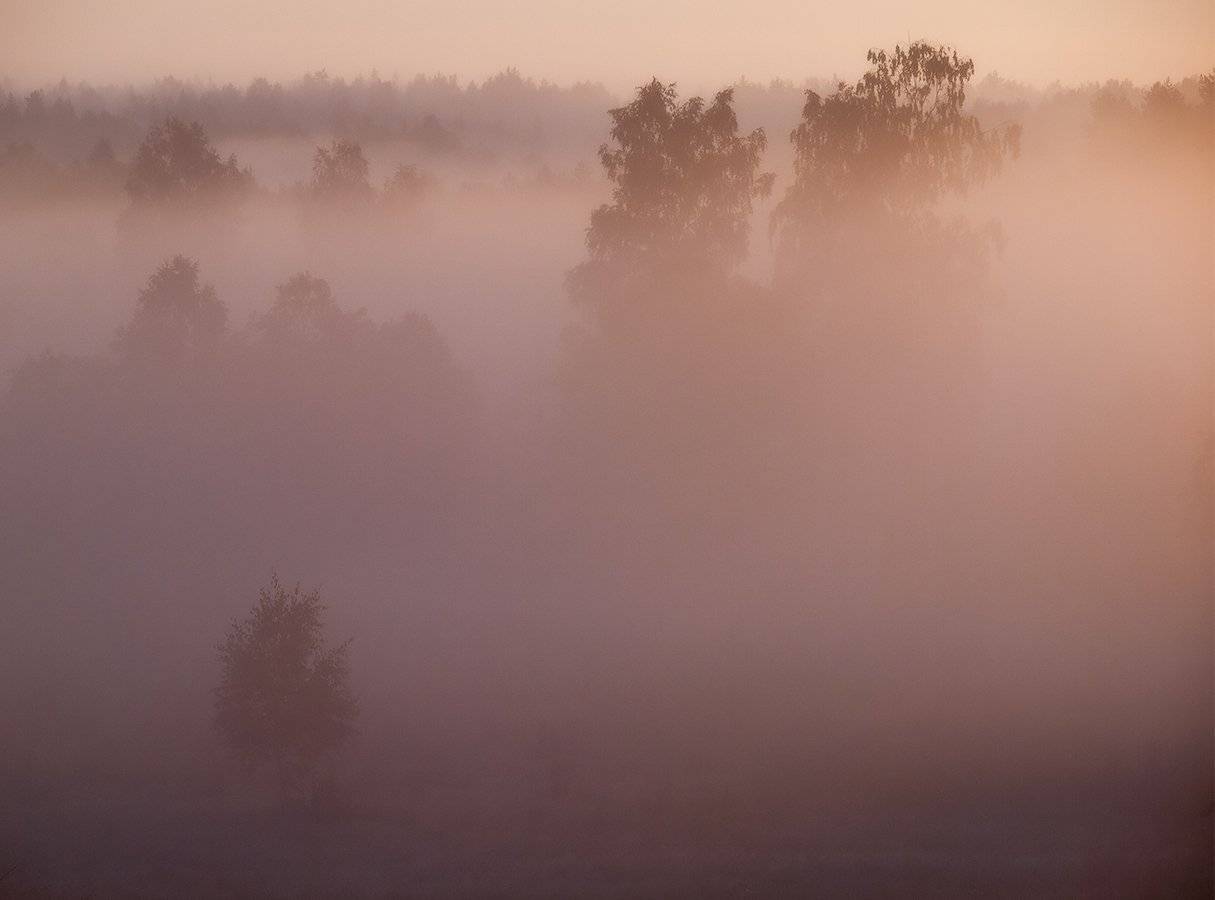 , Владимир Перепечаев