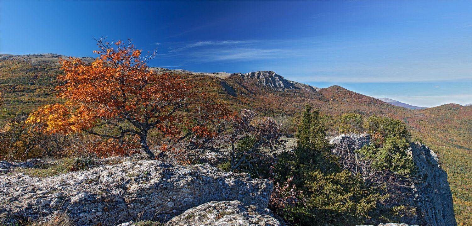 , Станислав Савицкий