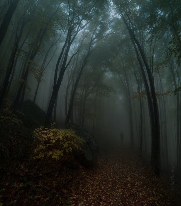 Misty memories