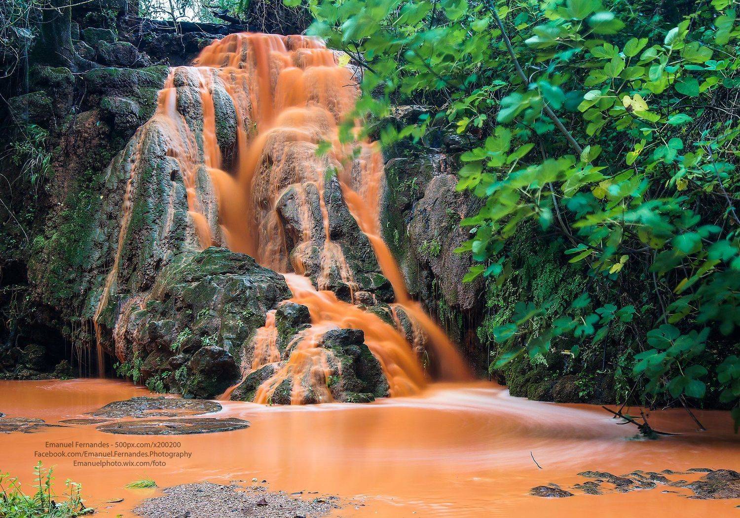 water,long,green,brown,orange,Portugal,Setubal,, Emanuel Fernandes