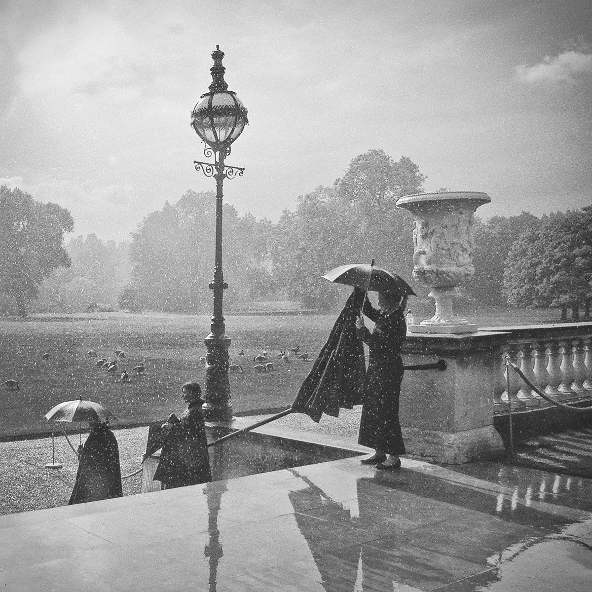 , Елена Лаврова