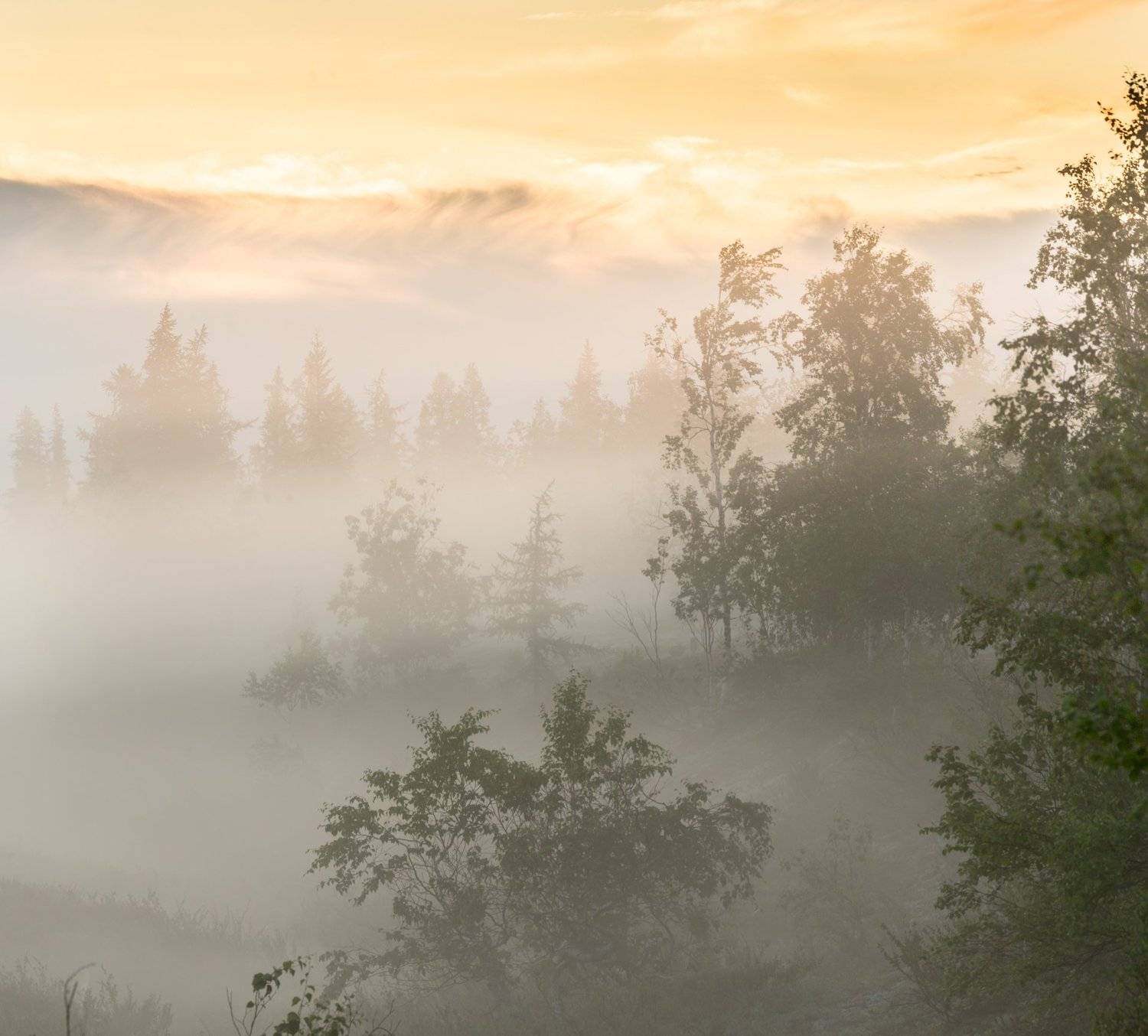 Рассвет, Туман, Утро, Ямал, Pavel  Evgrafov