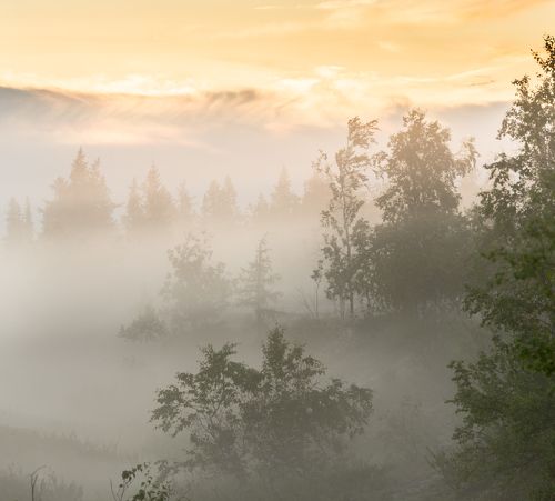 Летний рассвет