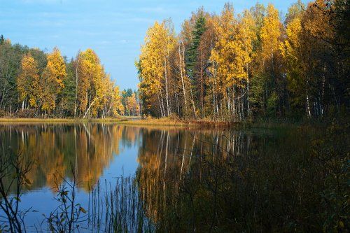 Pro бескомпромиссную осень на берегах озера