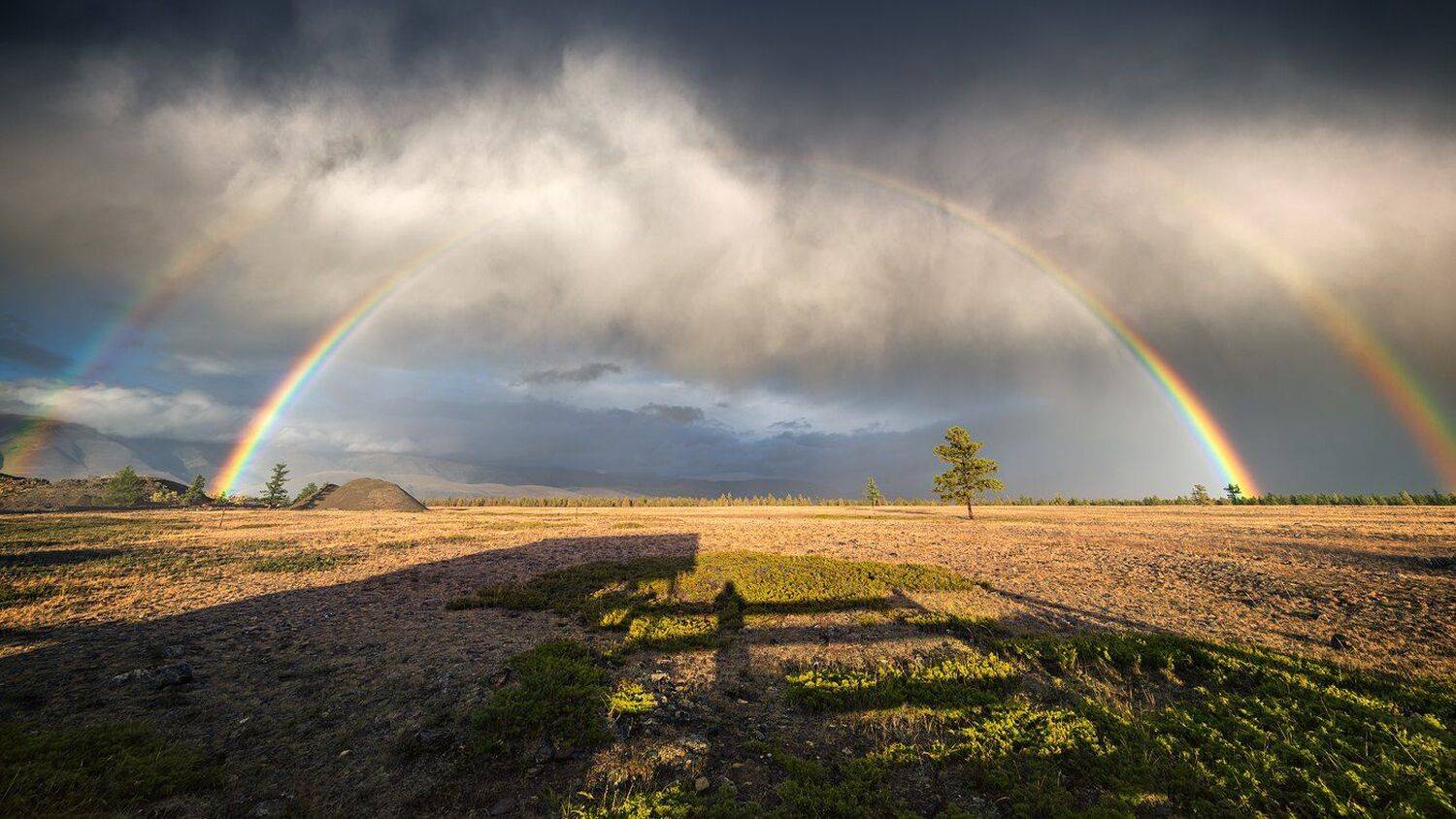пейзаж, природа, степь, горы, тень, вечер, радуга, дождь, облака, красивая, большой, высокий, дерево, одинокий, сибирь, Дмитрий Антипов