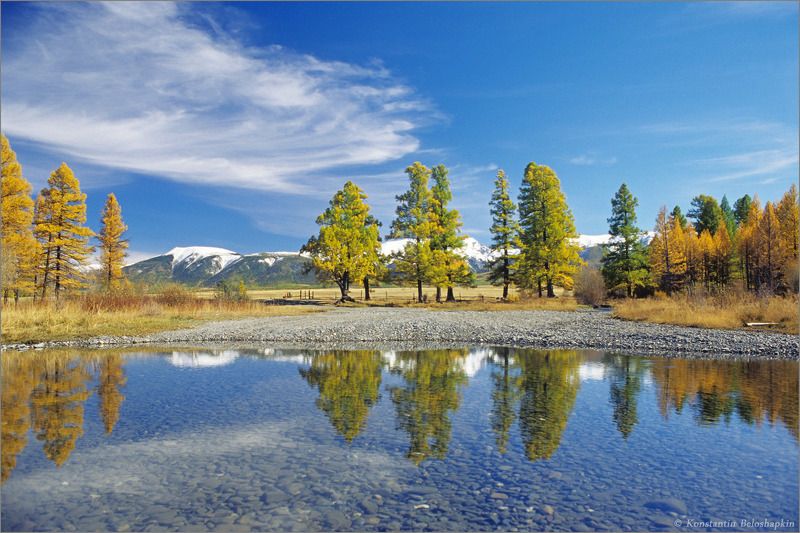 Тюте фото превью