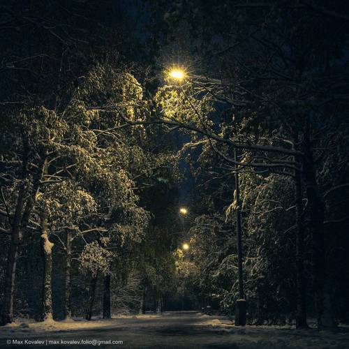 Первый снег / First snow