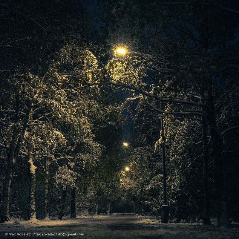 Europe, Moscou, Moscow, Russia, autumn, birch, evening, foliage, leaf, leaves, nature, park, path, plant, snow, tree, Европа, Москва, Россия, берёза, вечер, дерево, дорожка, лист, листва, листья, осень, парк, природа, растение, снег, тропа, фонарь Первый снег / First snow фото превью