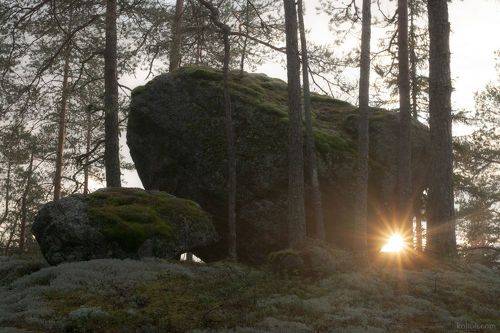 Большое лесное погружение - I