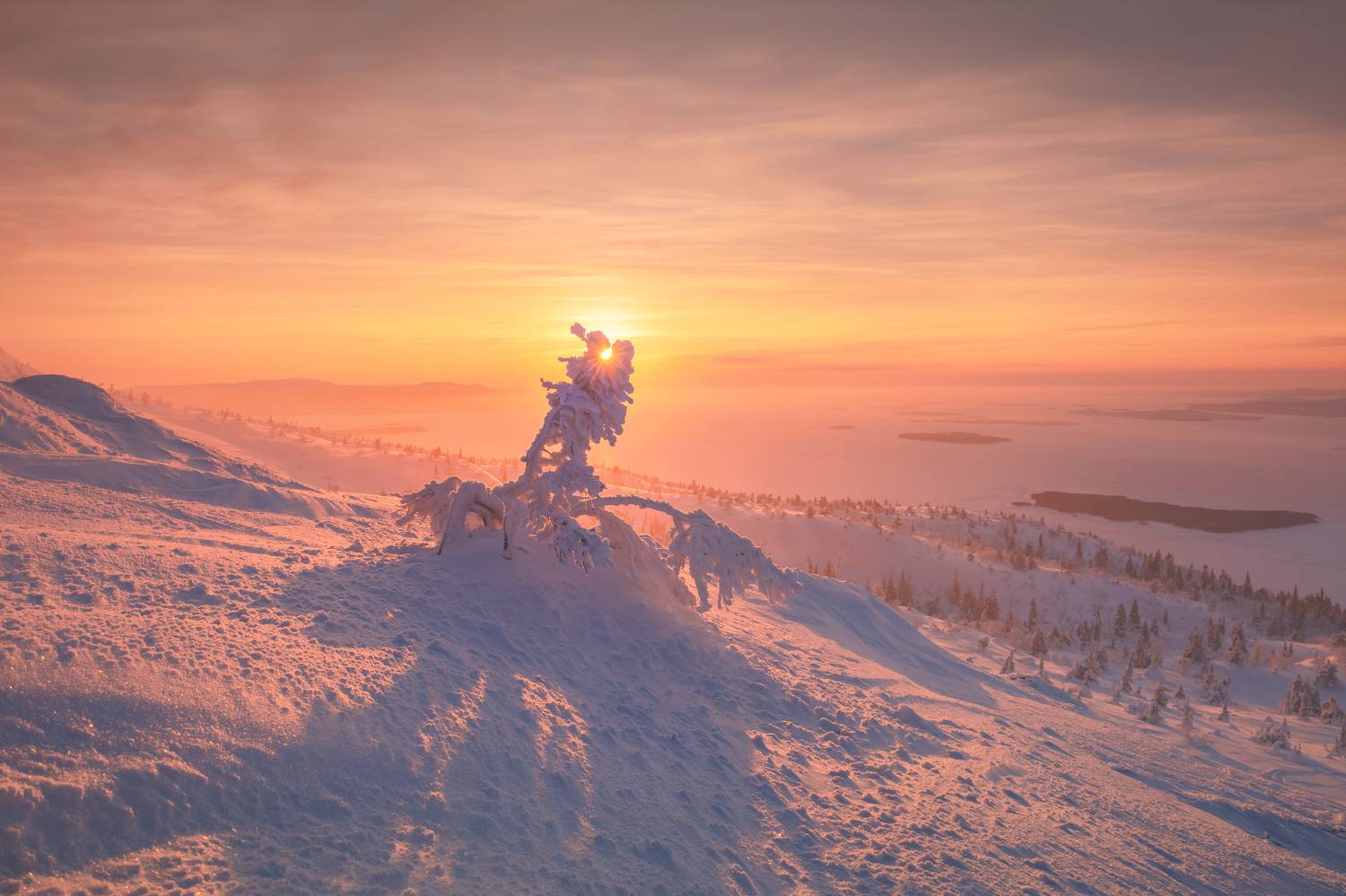 , Максим Евдокимов