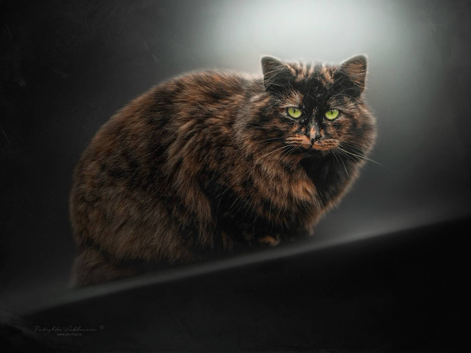 , Захарова Надежда