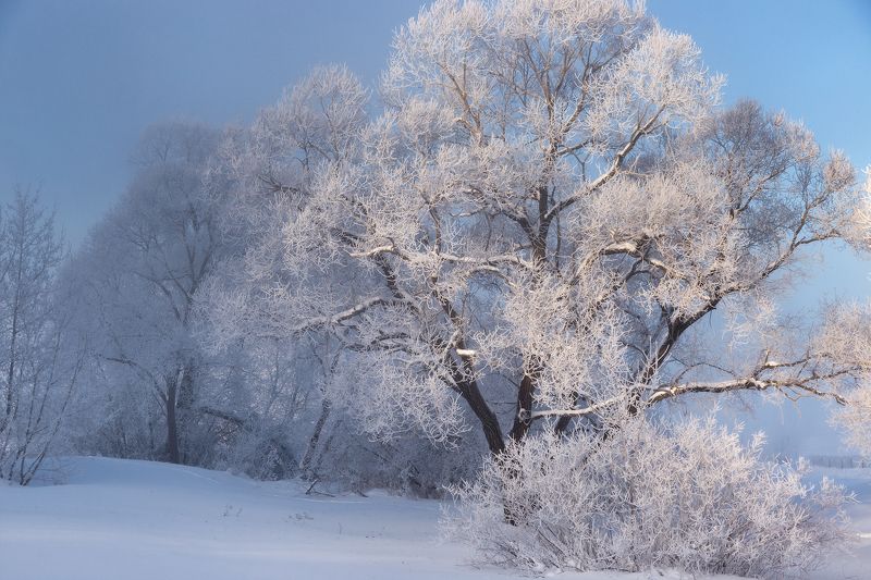 Зимний мотив фото превью