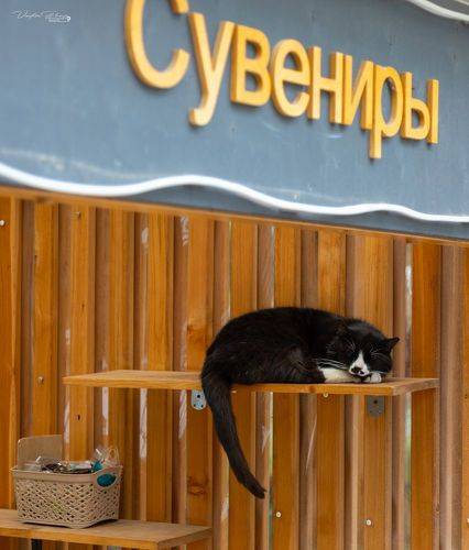 Сувенир.