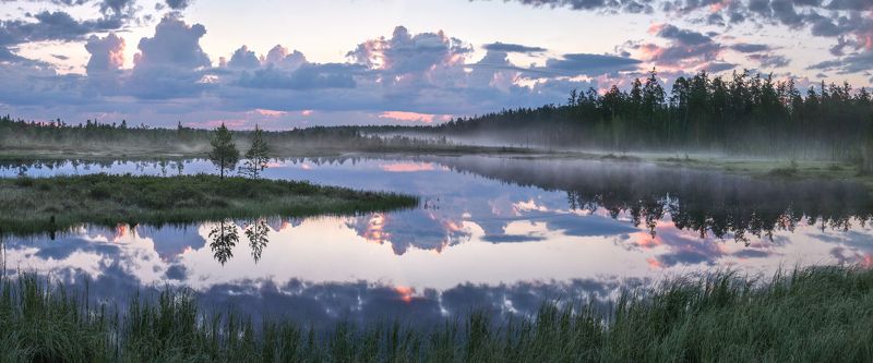 Белые ночи фото превью