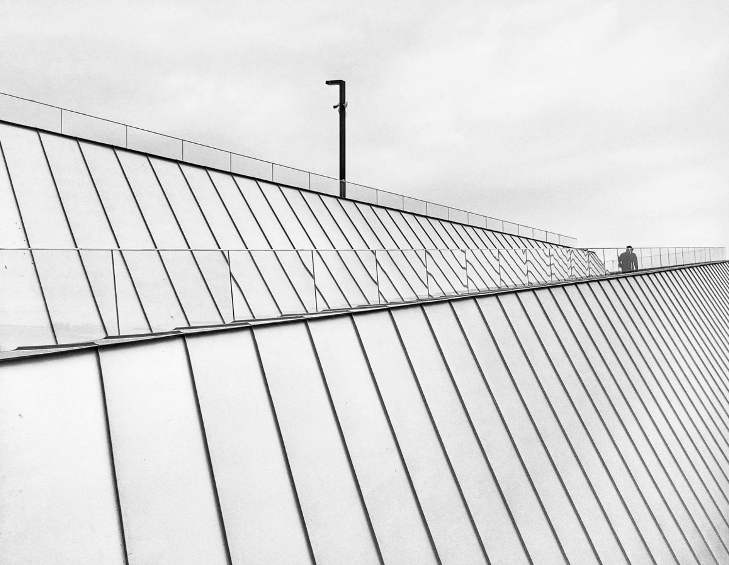 , Денис Никулин