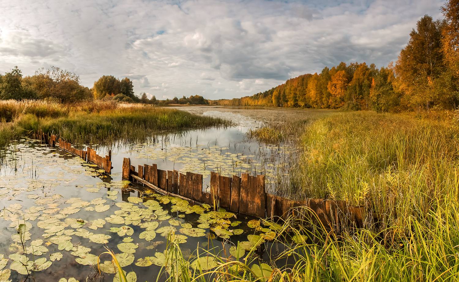 протока, озеро, осень, преграда, забор, трава, лес,, Анкудинов Леонид