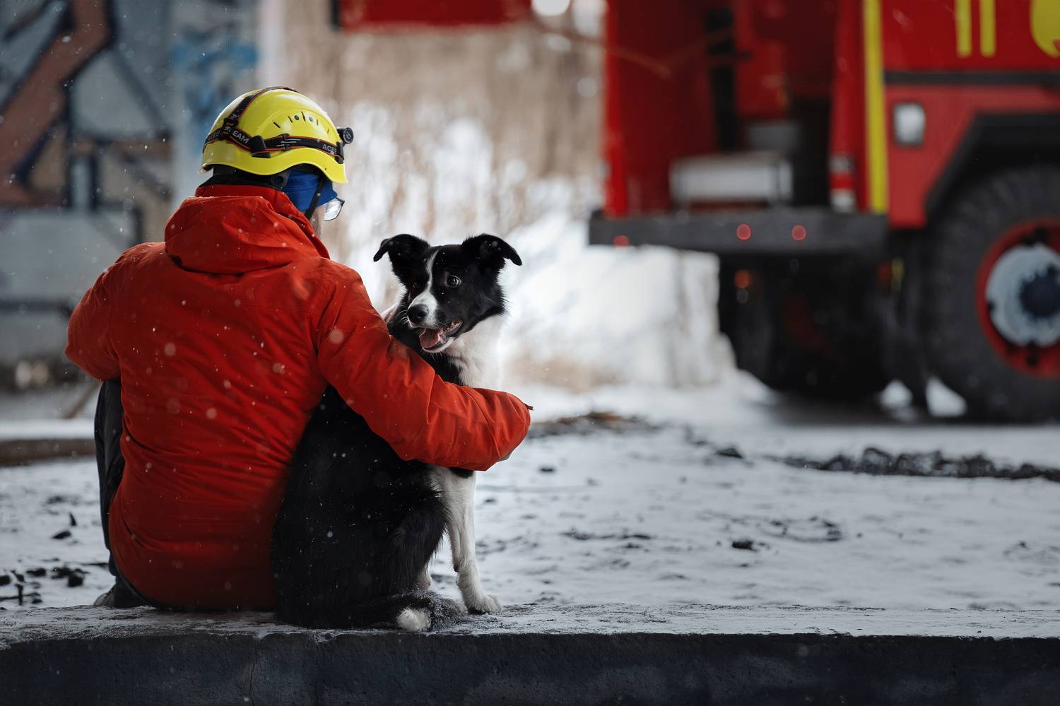 , Светлана Писарева