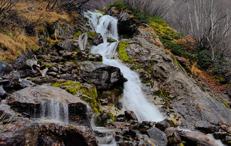 Седые косы (продолжение) фото превью