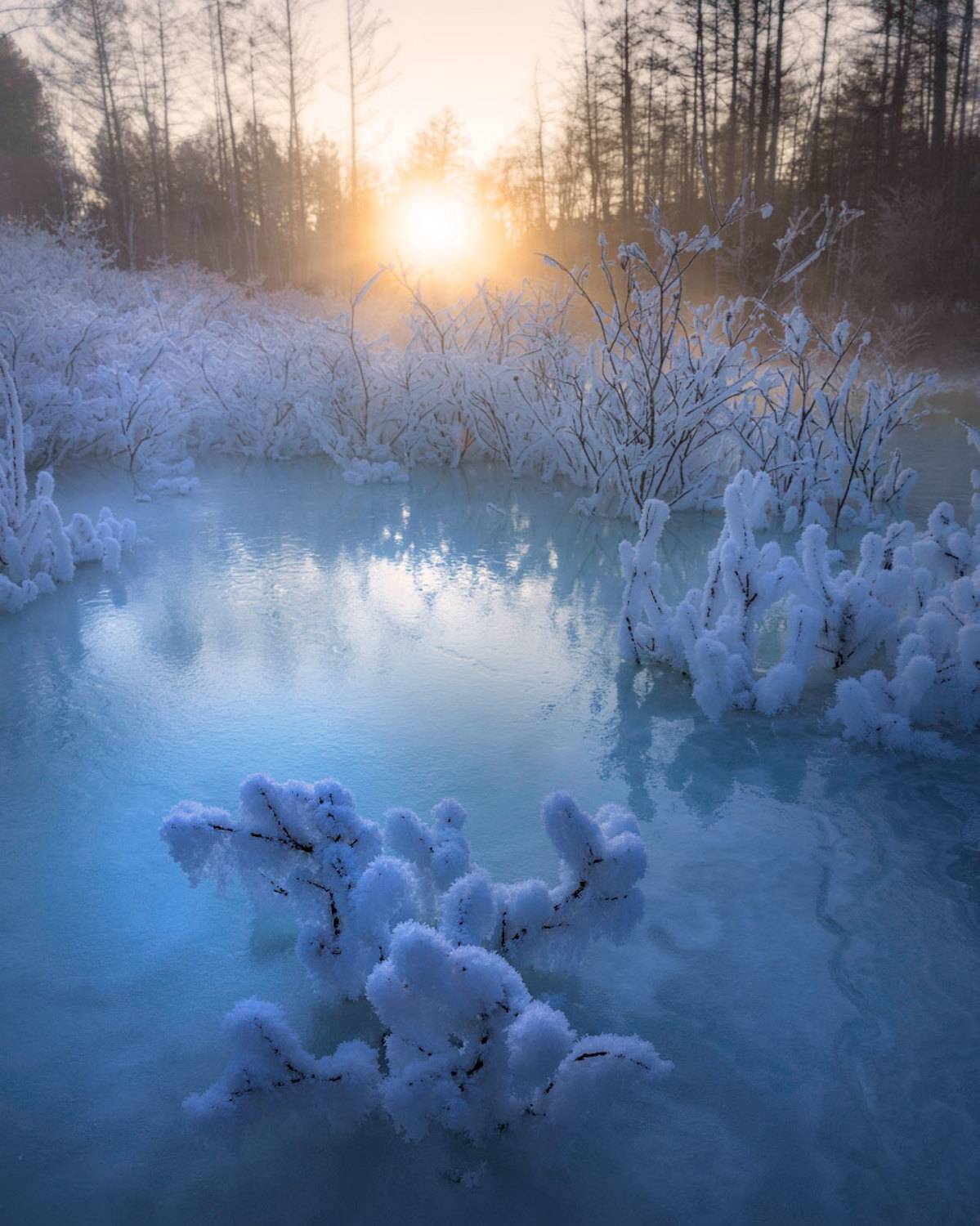 , Сергей Брагин