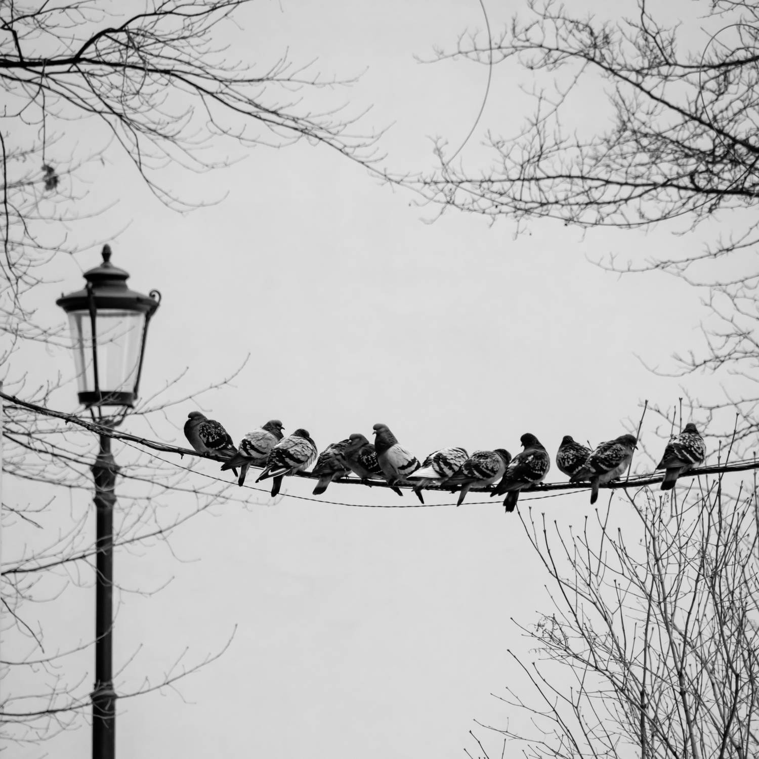 , Шилов Александр