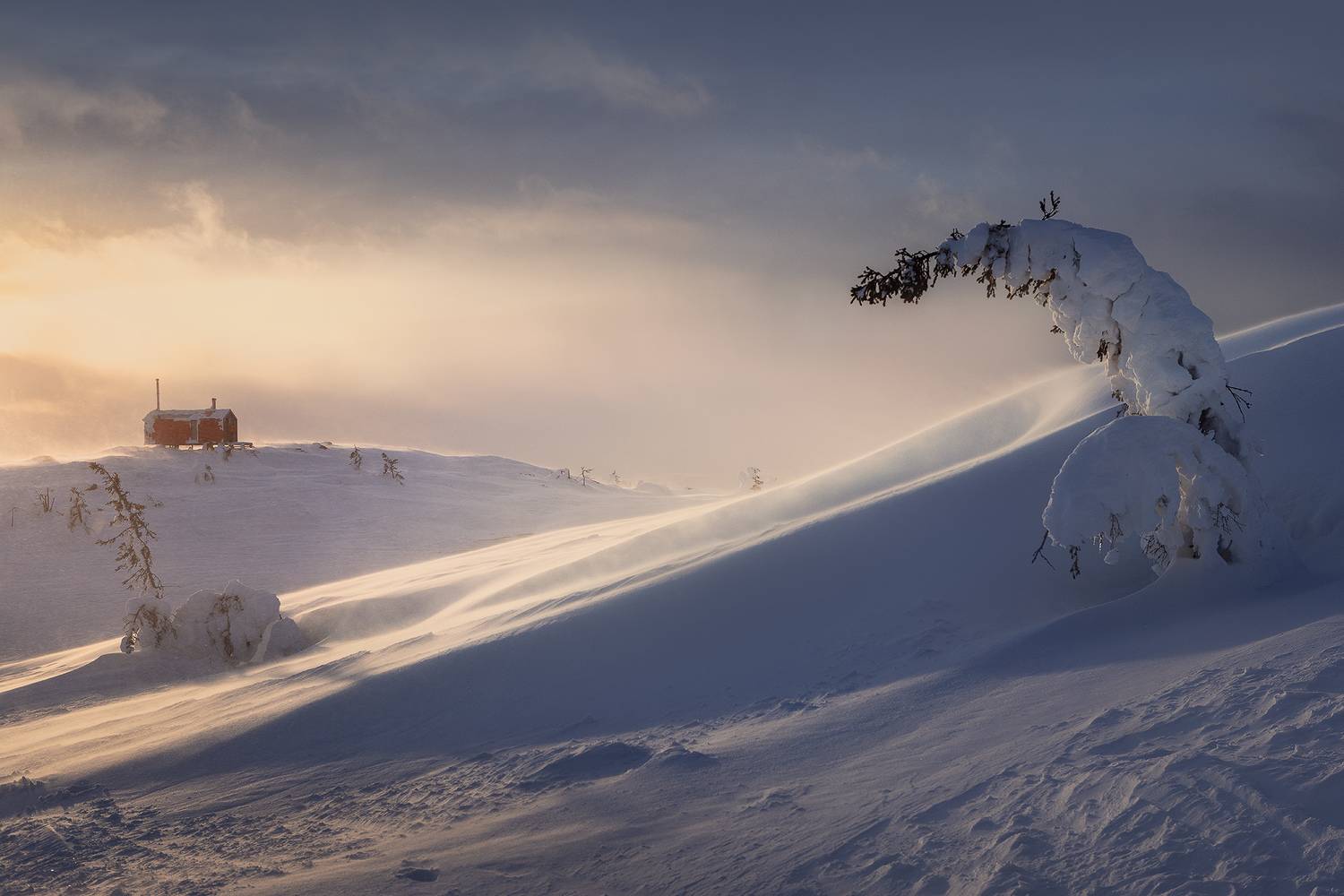 , Дмитрий Купрацевич