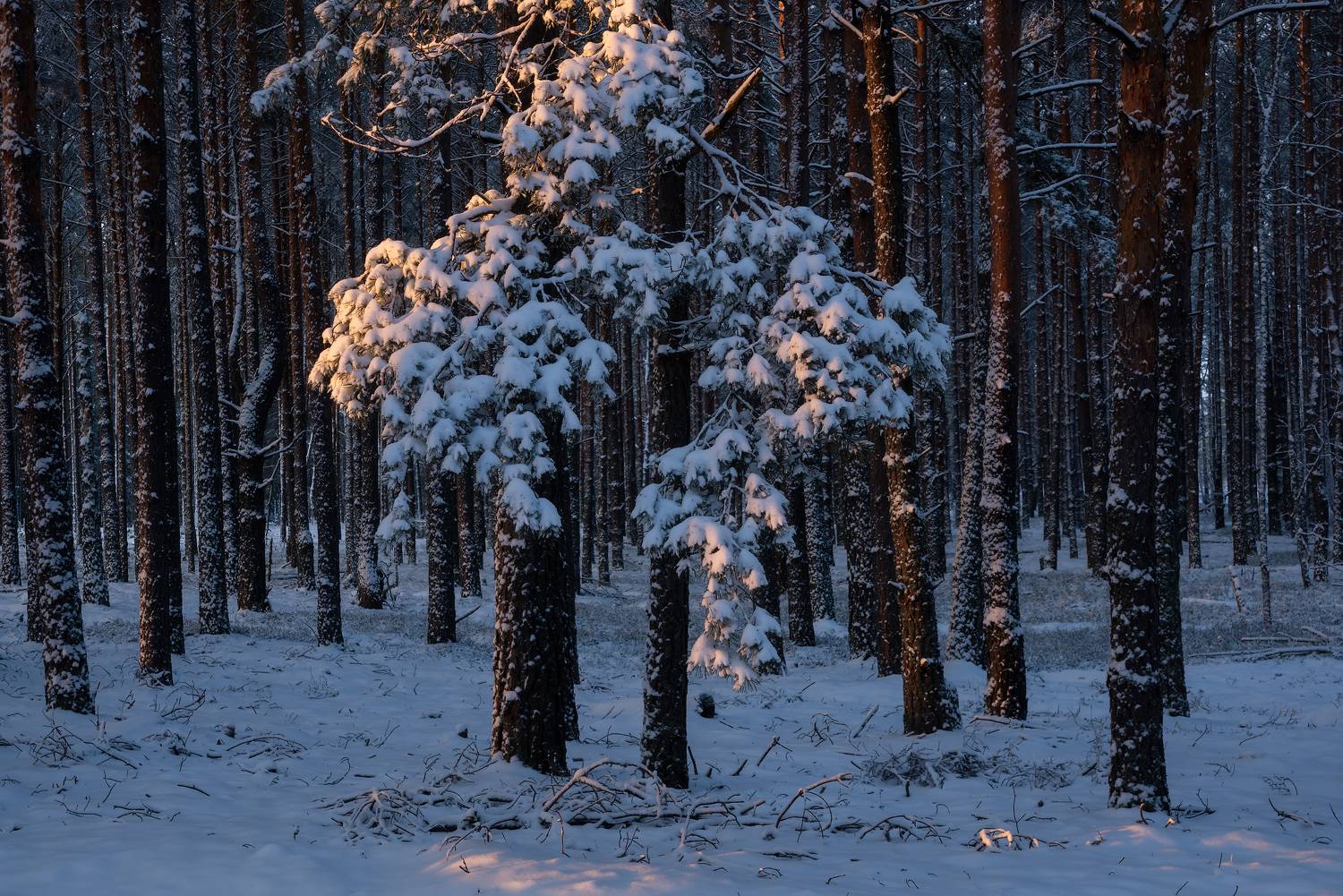 , Захаров Дмитрий