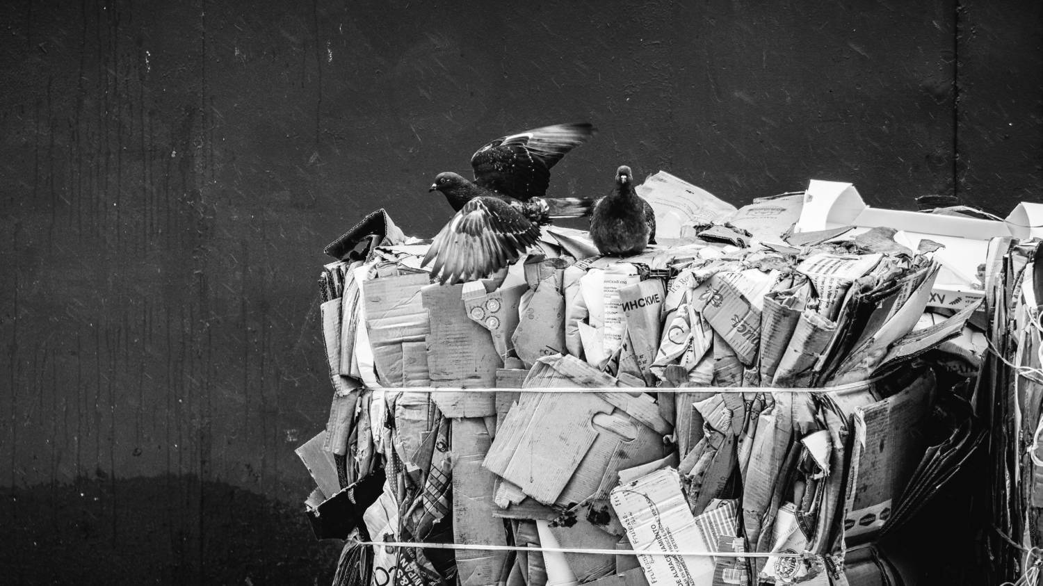 , Вертиков Юрий