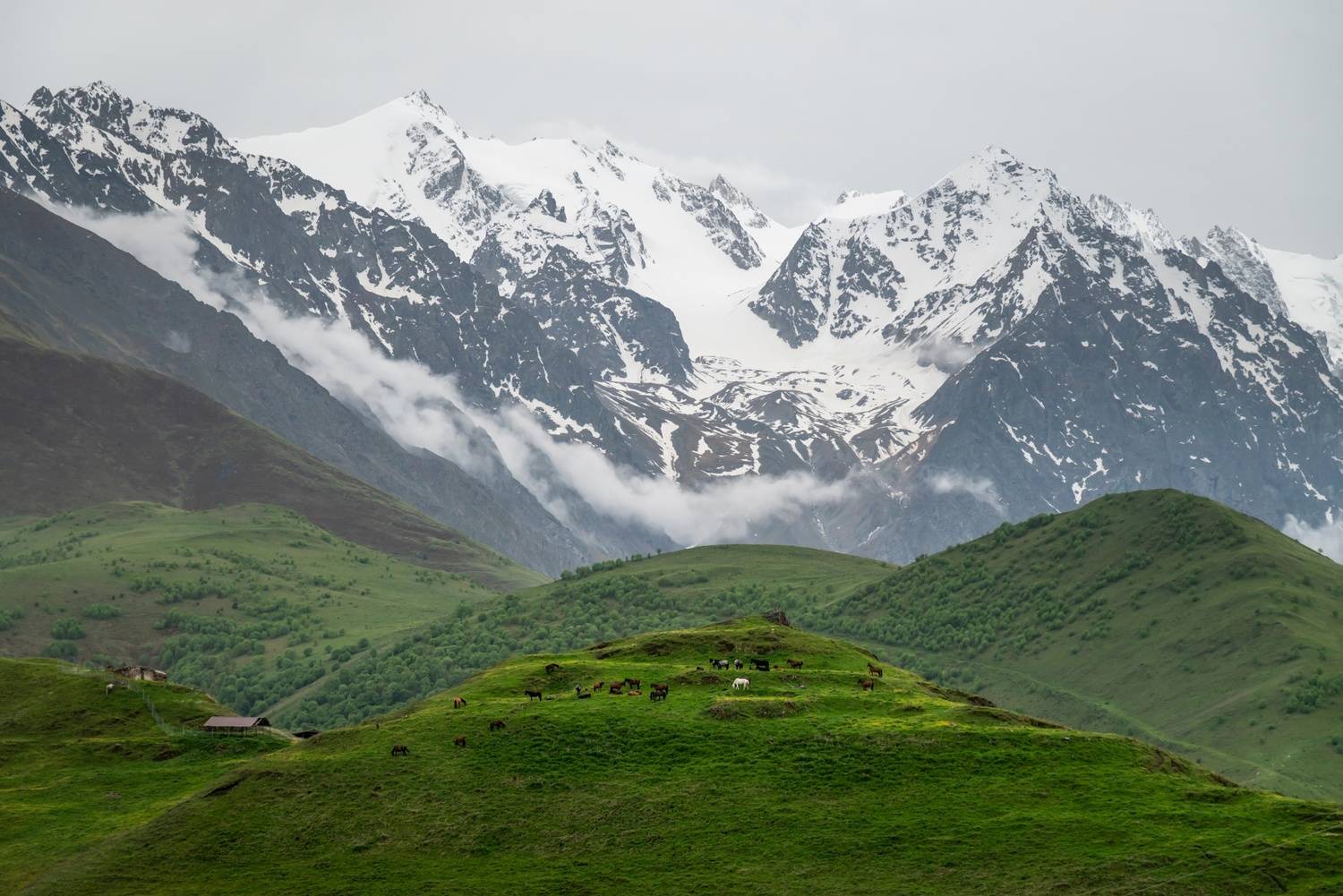 , Лесина Елена