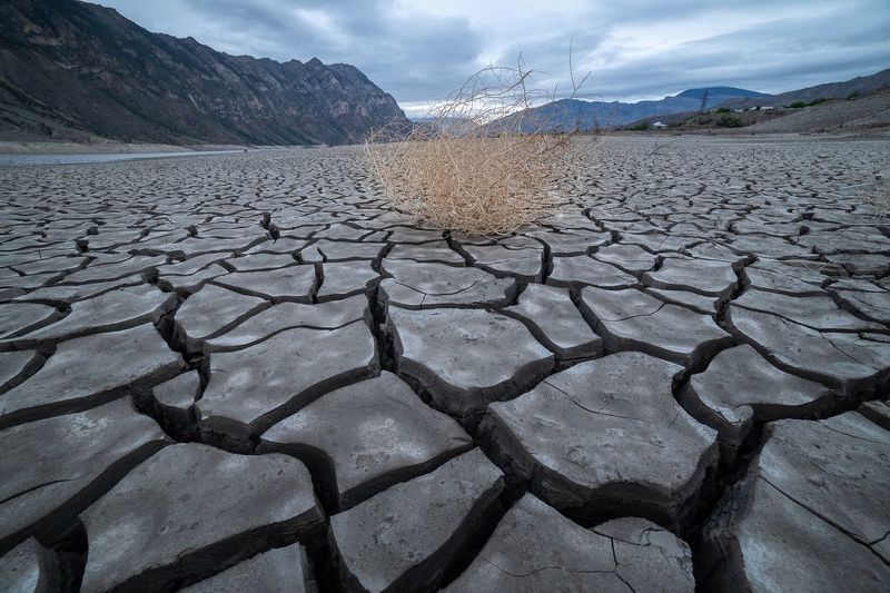 Фото на модерацию. фото превью