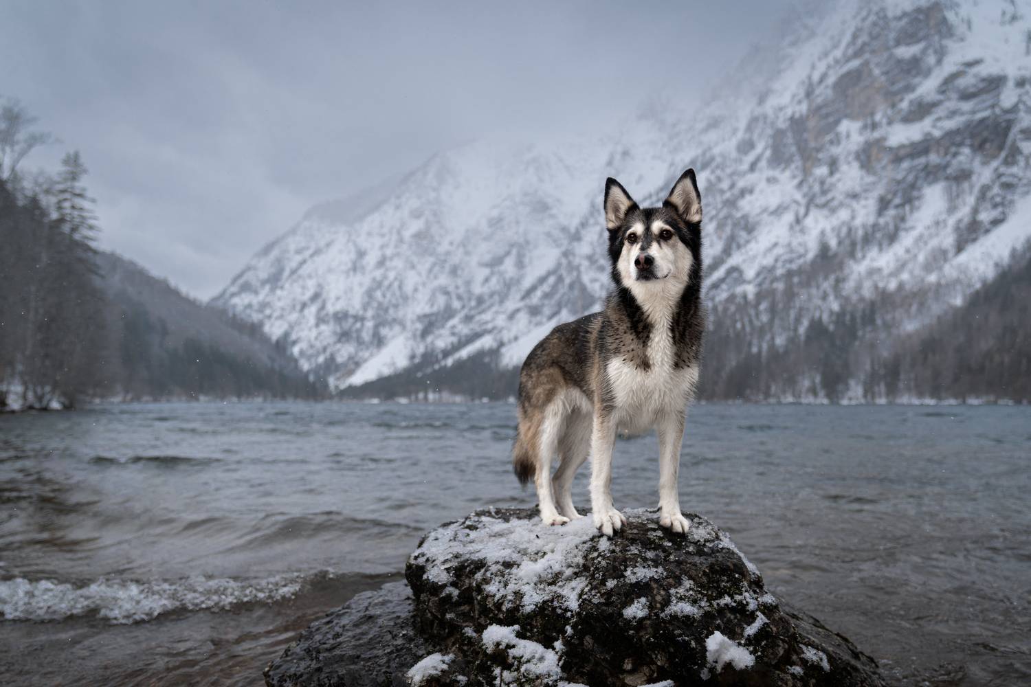 , Kriszti&aacute;n Csalami