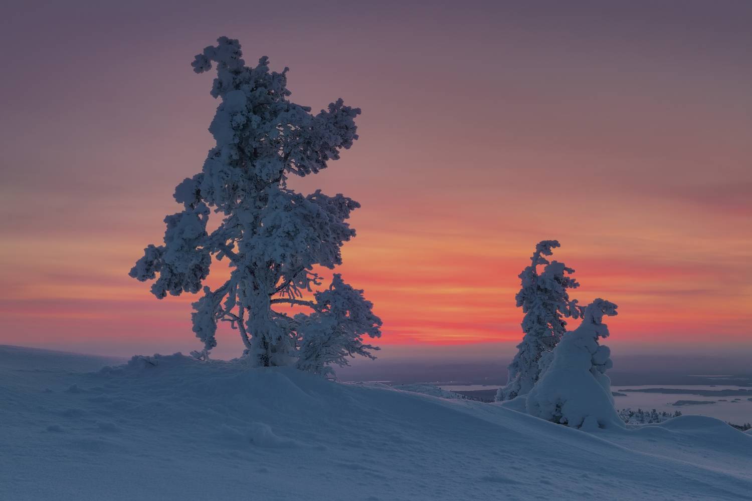 , Максим Евдокимов