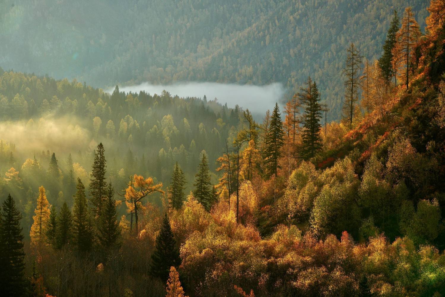 , Кузнецов Андрей