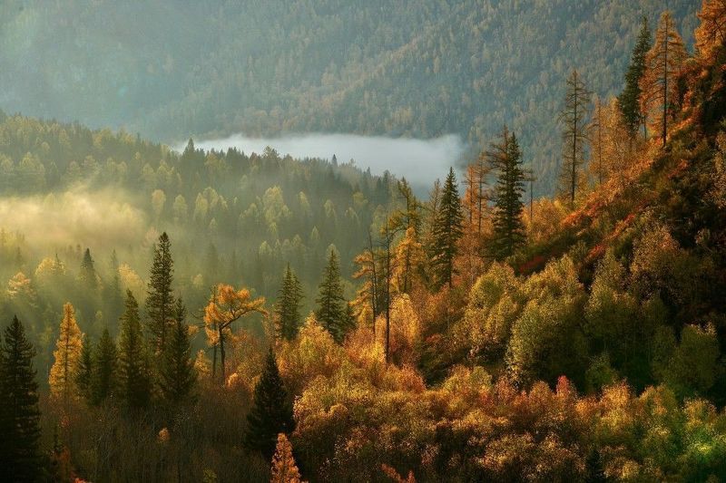 Утро на впадении Урсула в Катунь фото превью