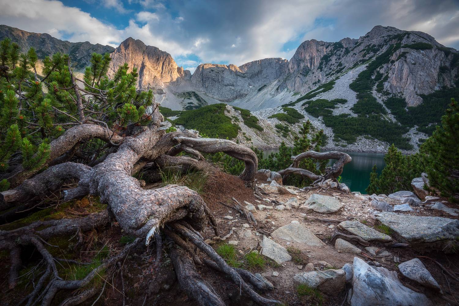 , Mariyana Atanasova - Lucero