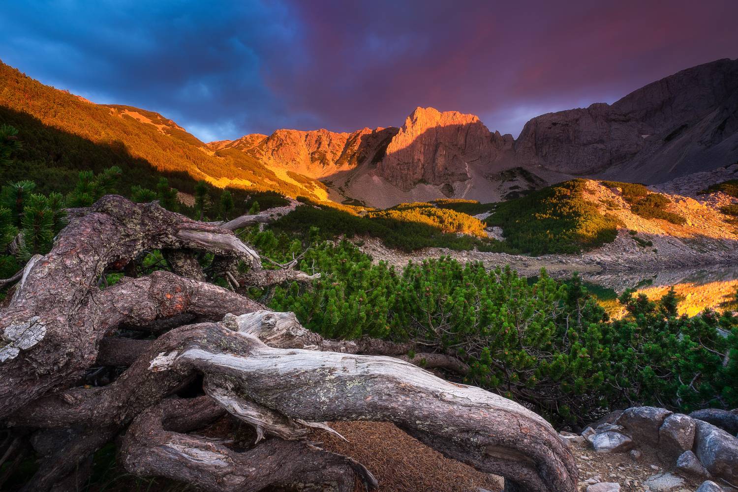 , Mariyana Atanasova - Lucero