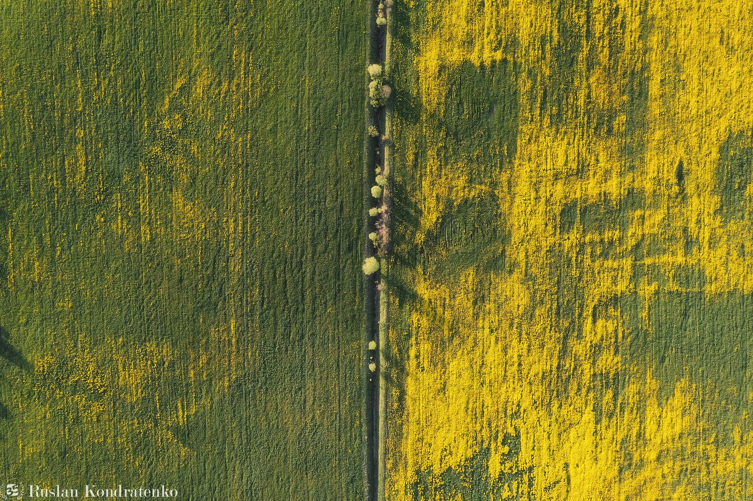 ленинградская область, аэрофото, аэрофотография, дрон, съемка с дрона, Кондратенко Руслан
